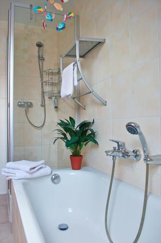Bed & Breakfast Apartment An Der Rotach