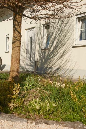 Bed & Breakfast Apartment An Der Rotach