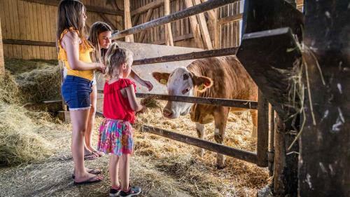 Agroturismo Urlaub Am Regen ? Ferienhof Dirnberger