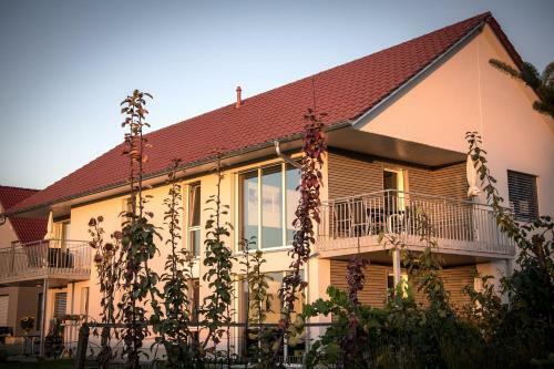 Apartamento Ferienwohnen Im Ziegelfeld