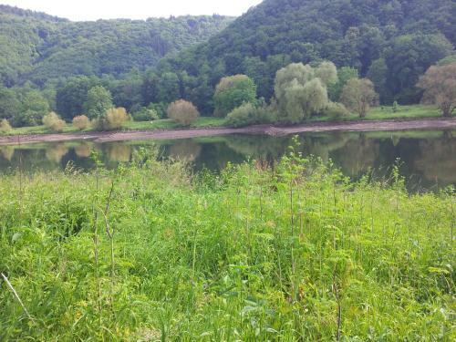 Hostal Ferienweingut-liebfried