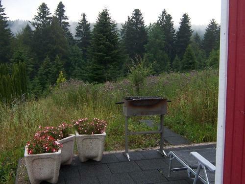Apartamento Ferienhaus Waldfee