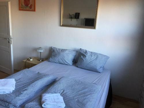 Hostal Alte Station