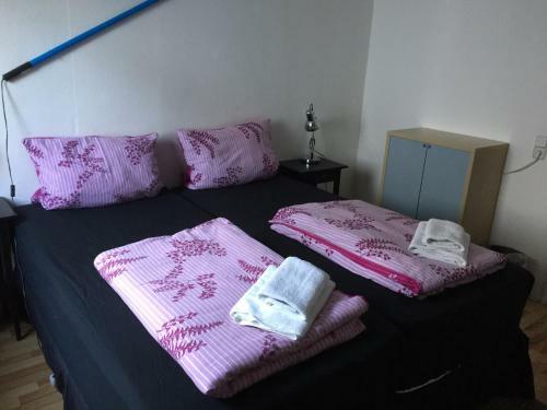 Hostal Alte Station