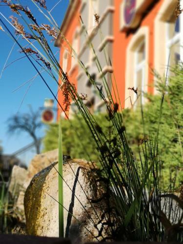 Hotel J�gerhof Putzkau