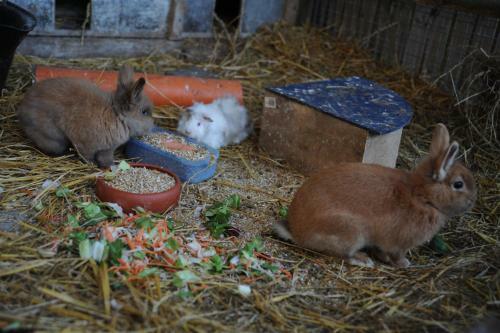Agroturismo Bauernhof K�hlbrandt