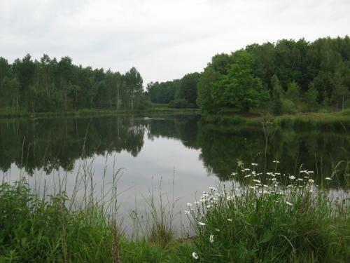 Ferienhaus Sperlingsruh