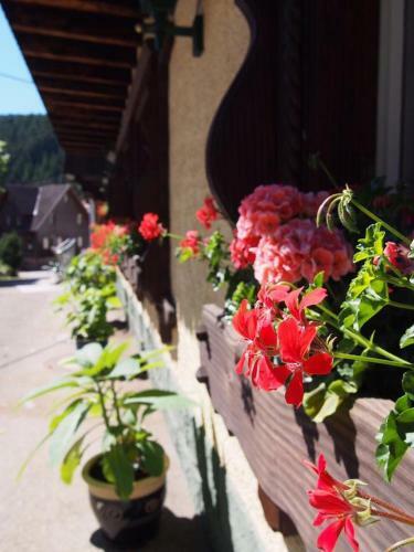 Hostal Landgasthof L�wen