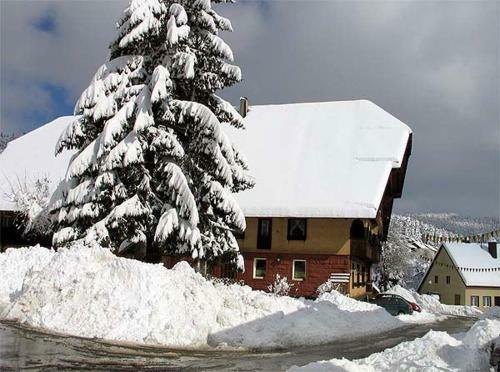 Hostal Landgasthof L�wen