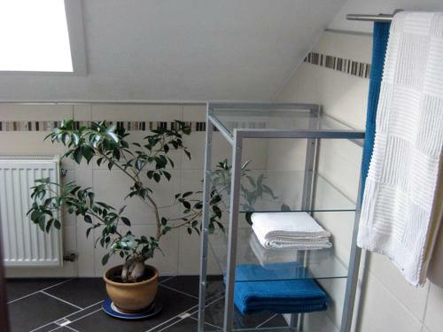 Apartments Eva Und Wolf