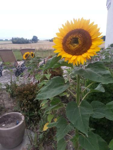 Roskilde B&B