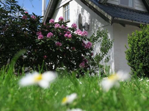 B&B Det Gamle Savv�rk