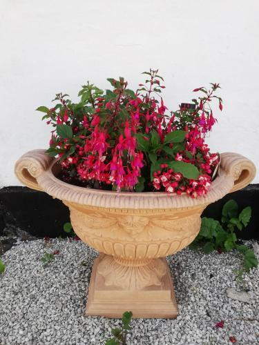 Bed & Breakfast Roseng�rden
