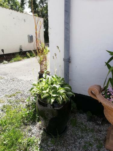 Bed & Breakfast Roseng�rden