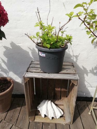 Bed & Breakfast Roseng�rden