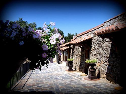 Agroturismo Almazara De San Pedro