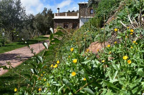 Apartamento Dreams Alpujarra