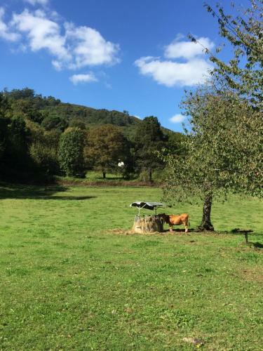 Agroturismo La Casona De Belmonte