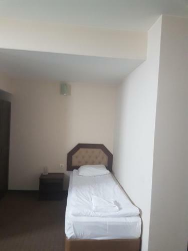Hotel Podkovata