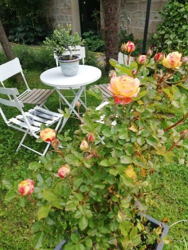 Hotel La Mirabelle-casteil Country House