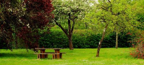 G�te Cerf - 8 Personnes