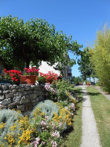 Bed & Breakfast Lascurades