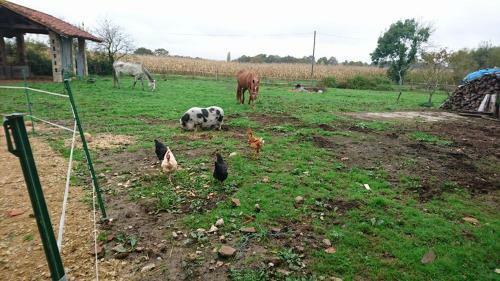 A La Poularde B&B