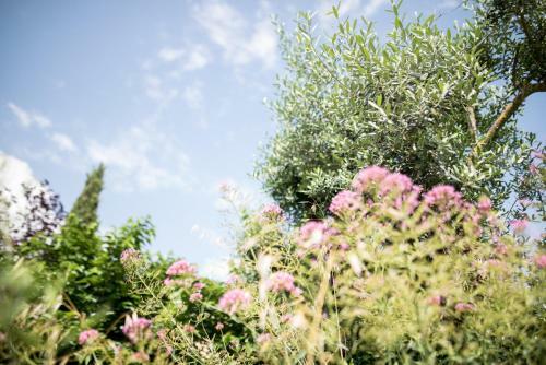 Bed & Breakfast Le Mas Des Romarins