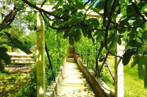Apartamento Holiday Flat Fayence
