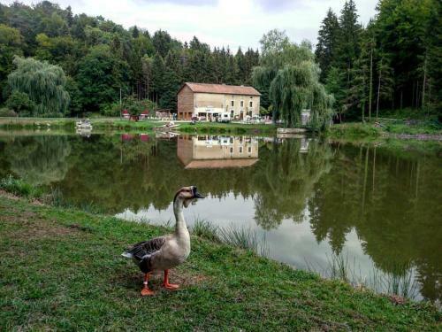 Hostal Yourte Contemporaine
