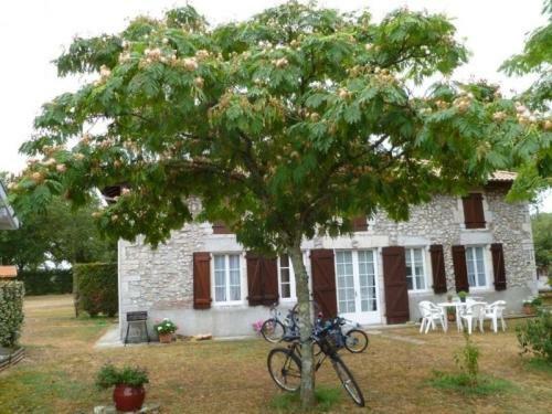 House Papire - Fraicheur