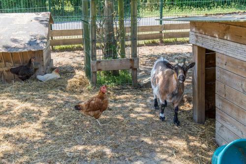 Camping Antioche D'ol�ron