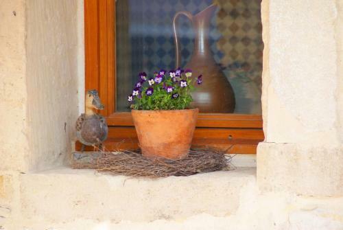 Chez Catharina Oldtimer B&B