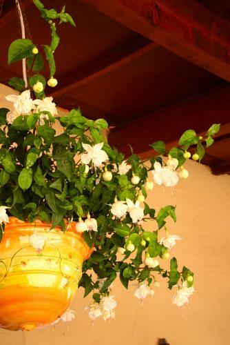 Bed & Breakfast La Bartavelle