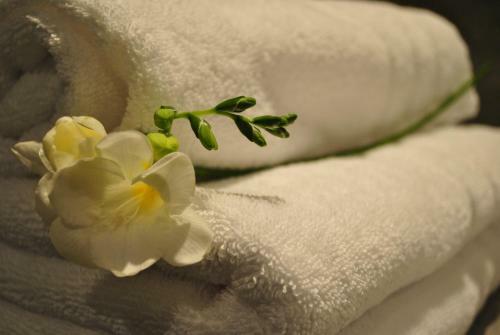 Bed & Breakfast Domaine De L'espal