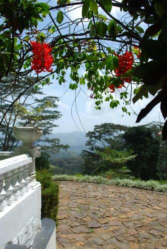 Hostal Ashburnham Tea Estate