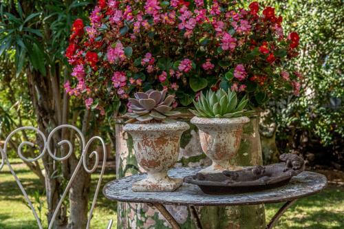 Bed & Breakfast Mas D'escattes