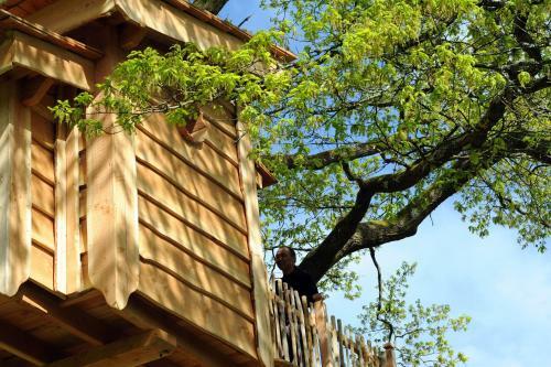 Bed & Breakfast La Cabane Du Vieux Ch�ne