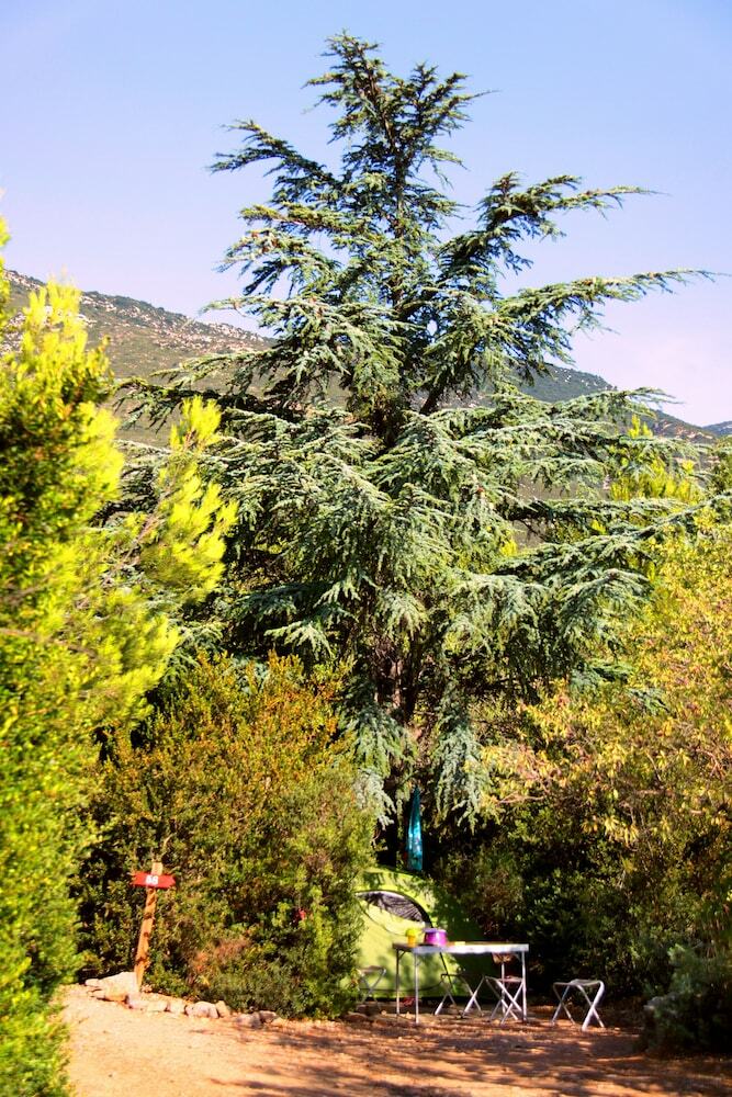 Camping La Peiriere