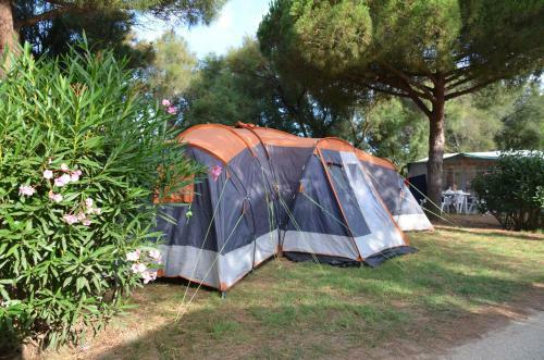 Les Tropiques