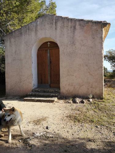 Bed & Breakfast La Belhomi�re