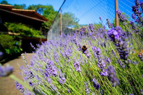 Hotel R�sidence Le Sporting