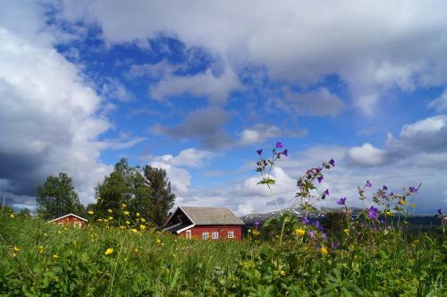 Hostal Bustad Hyttetun