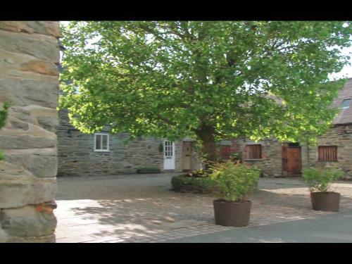 Bryn Melyn Farm Cottages
