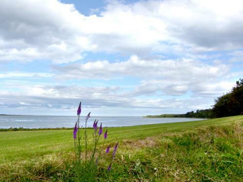 Budle Cove