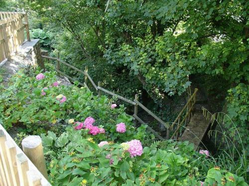Ingledene, Boscastle