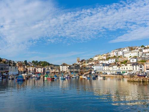 Egret, Brixham