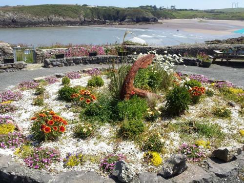 Angorfa, Cemaes Bay