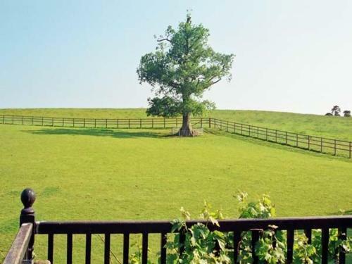 Uplands