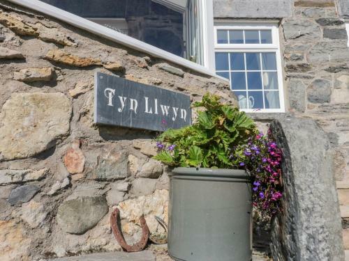 Tyn Llwyn, Corwen